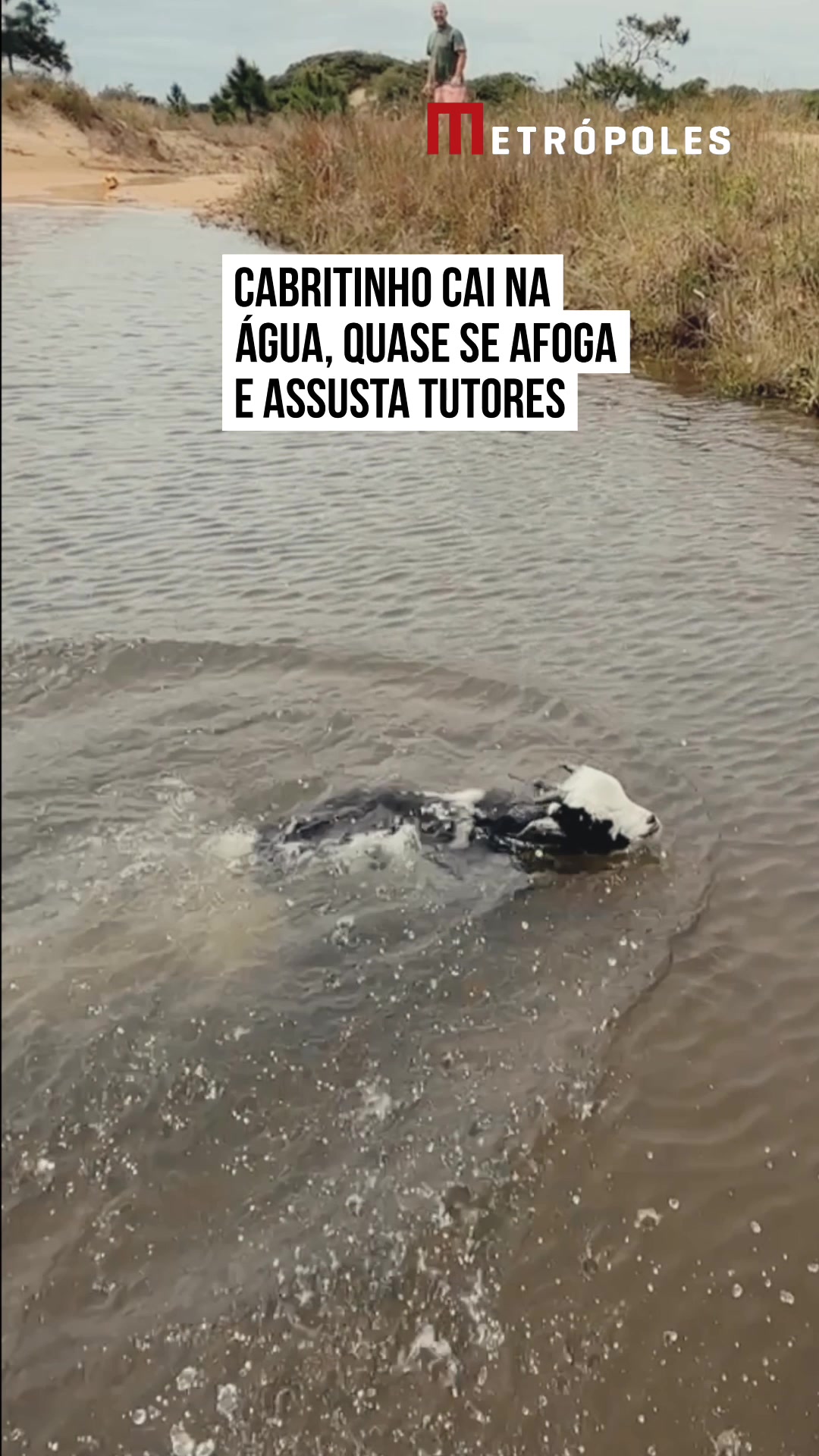 @Metrópoles Oficial