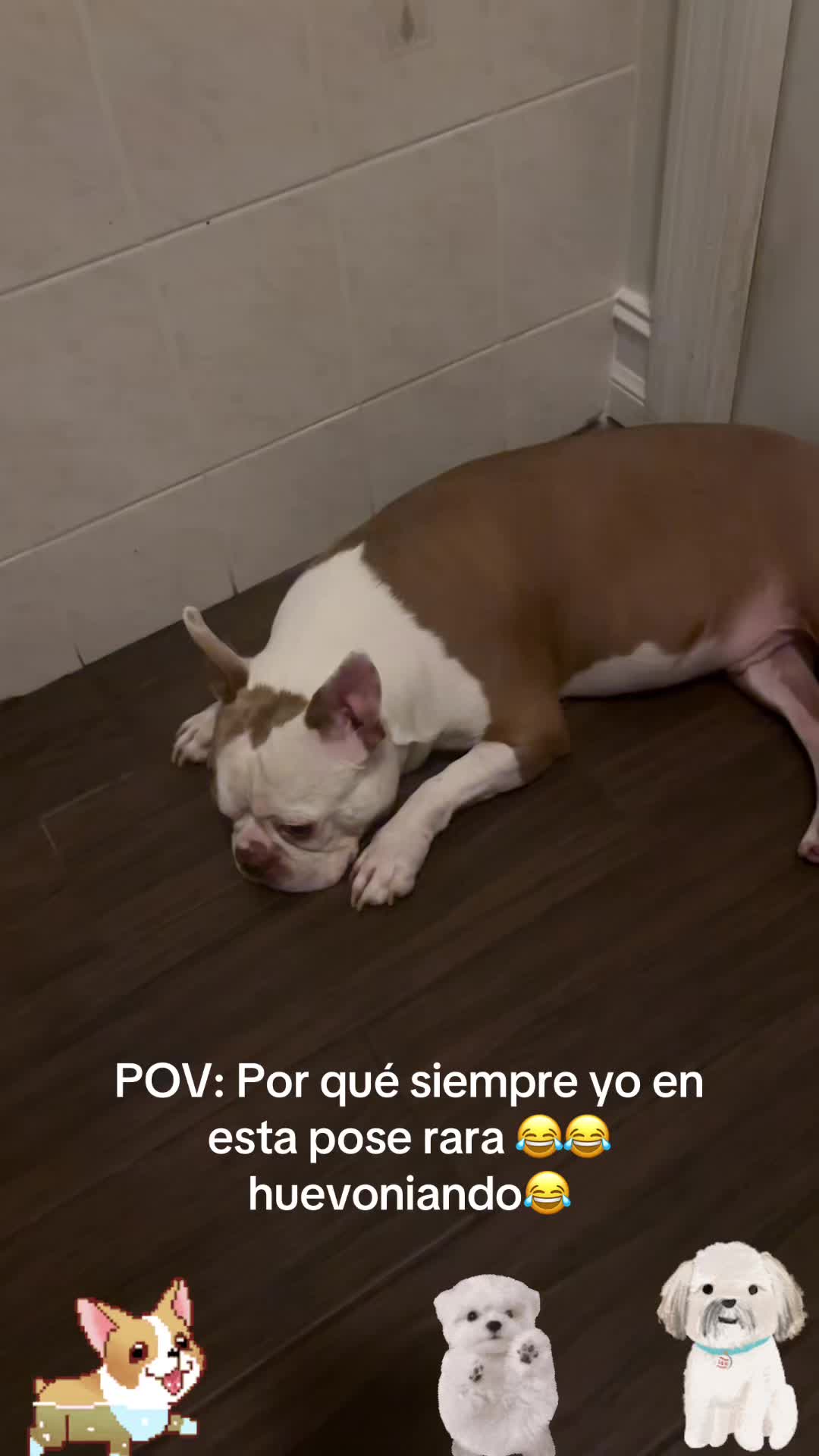 @los3huevertos