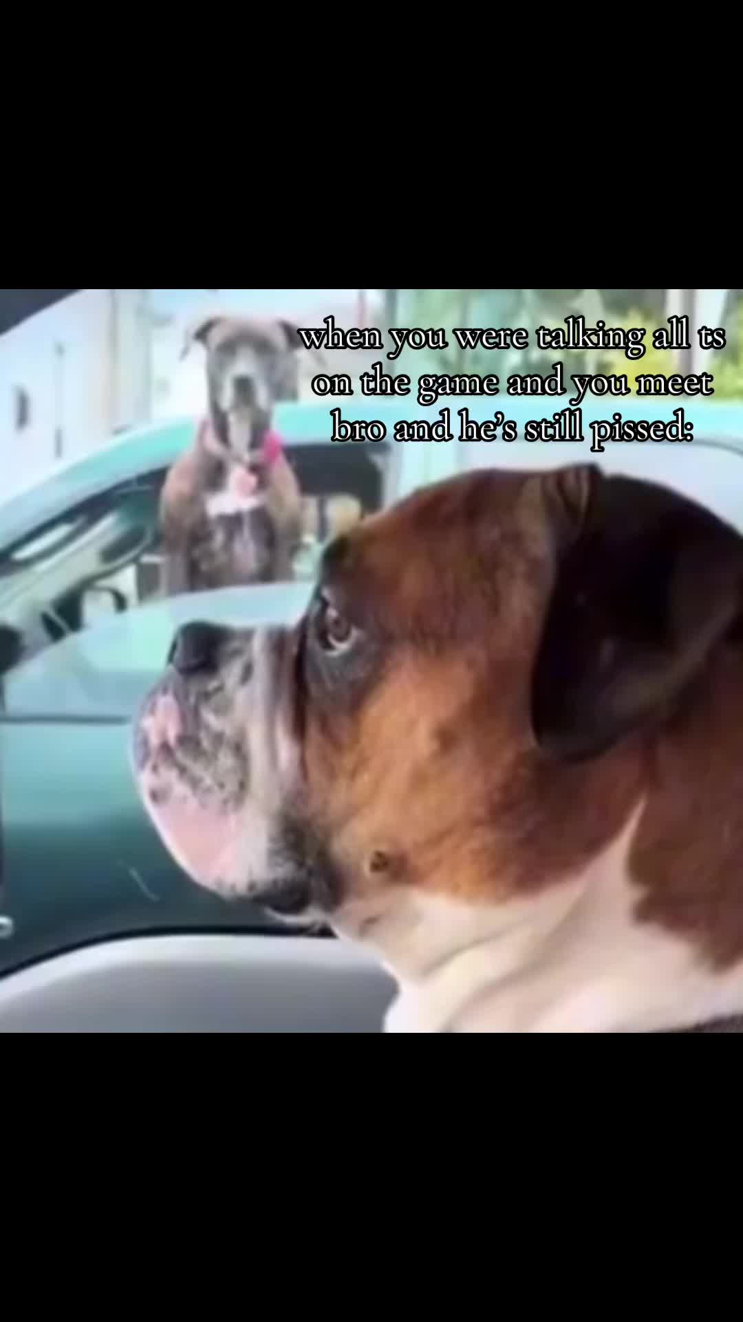 @drryl2shity