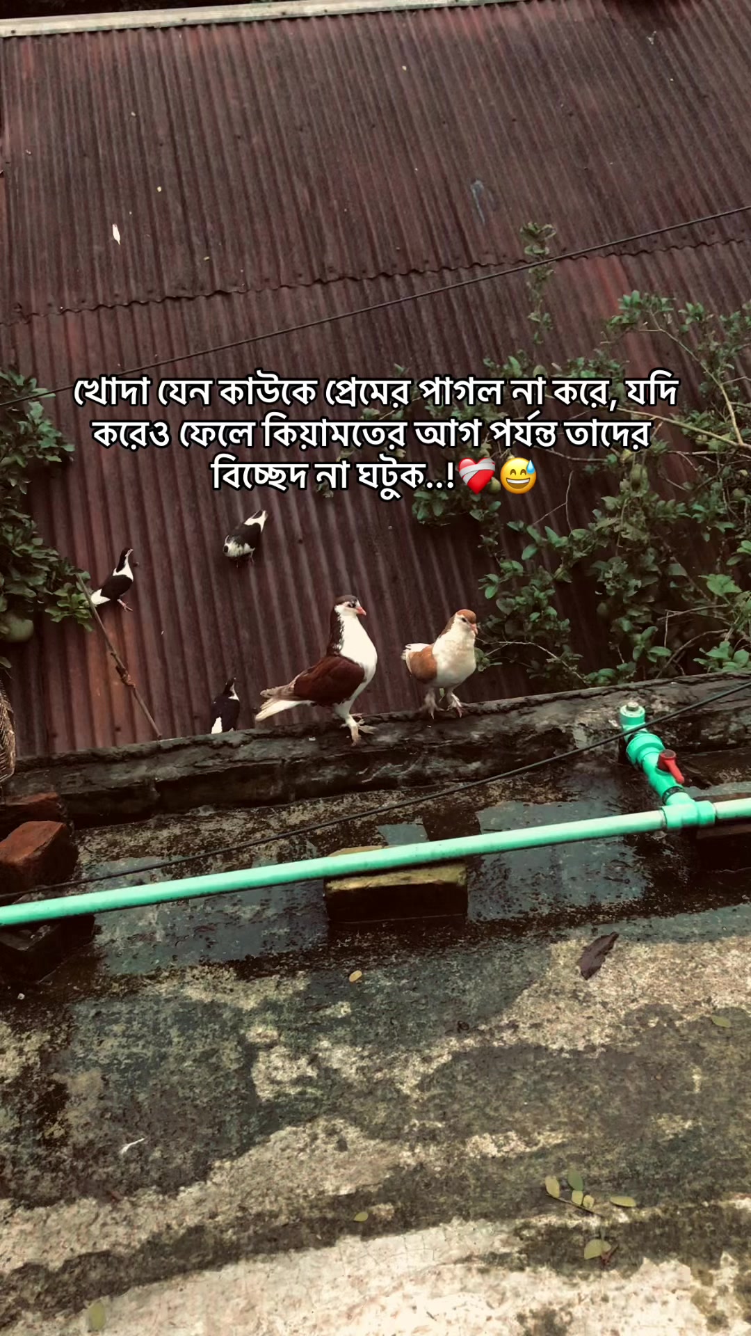 @the_spydoo🕸️ 🥏