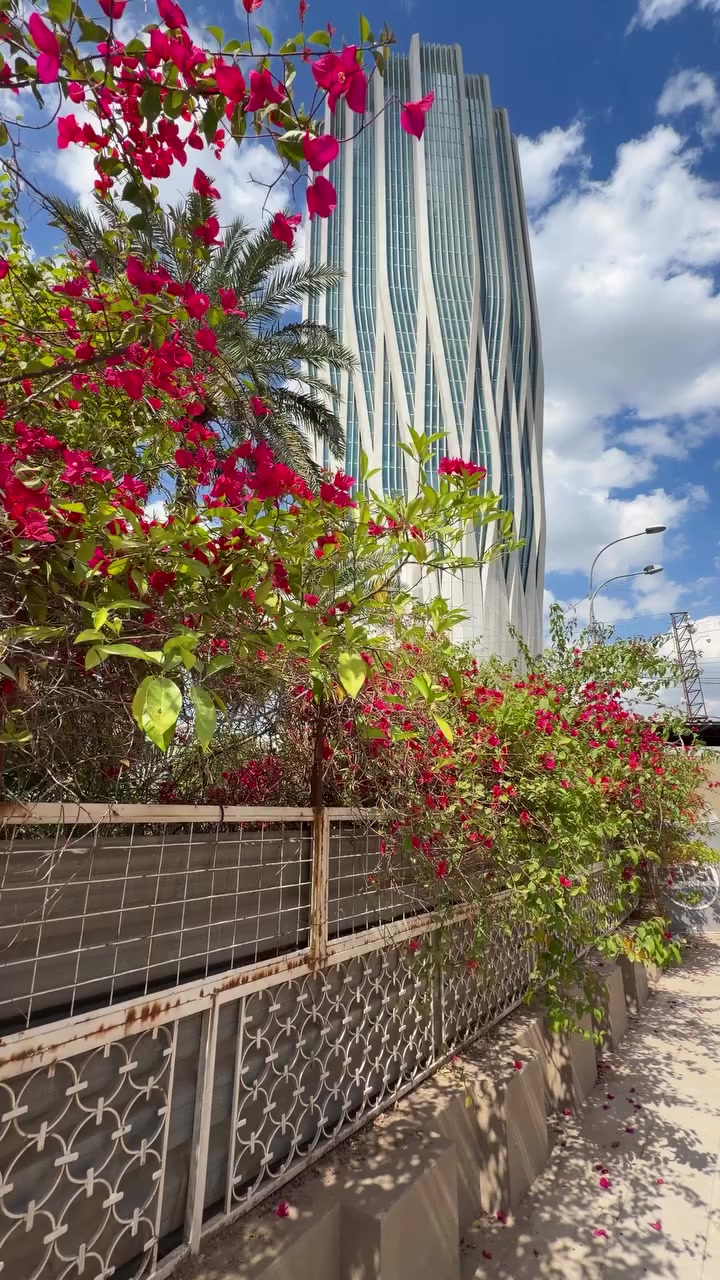 @dr.saba