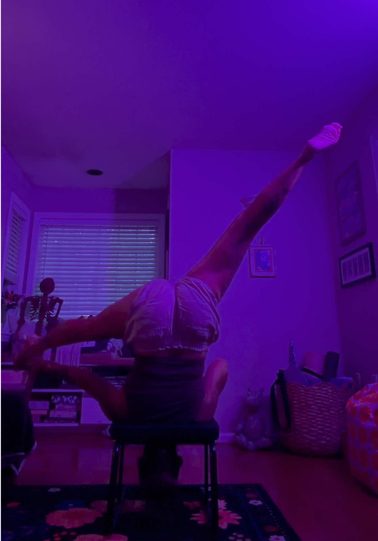 @gardengirl8440