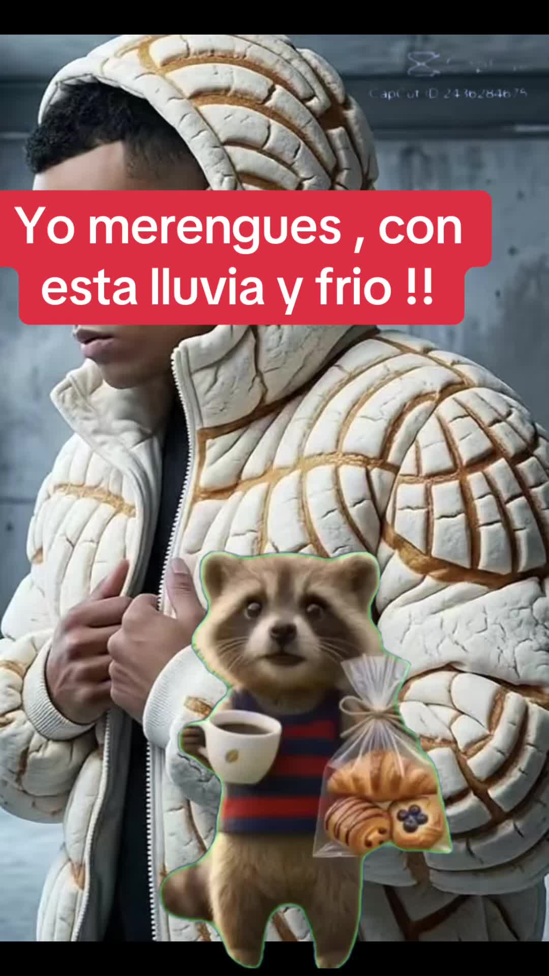 @Gatoflojoloko