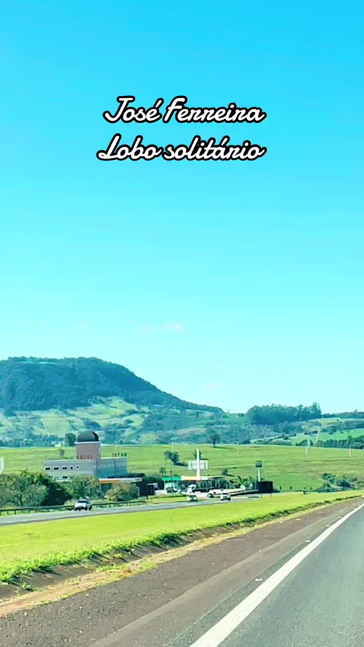 @joseferreiraferreira8