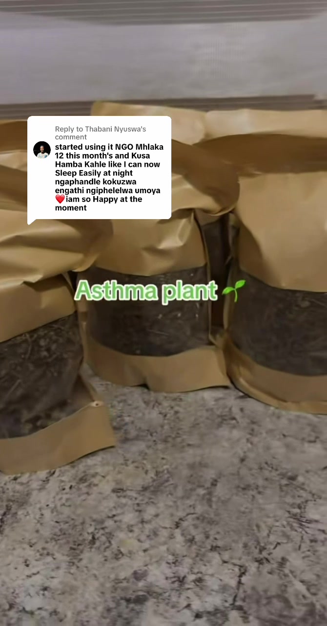 @Asthma-plant_herbalshop