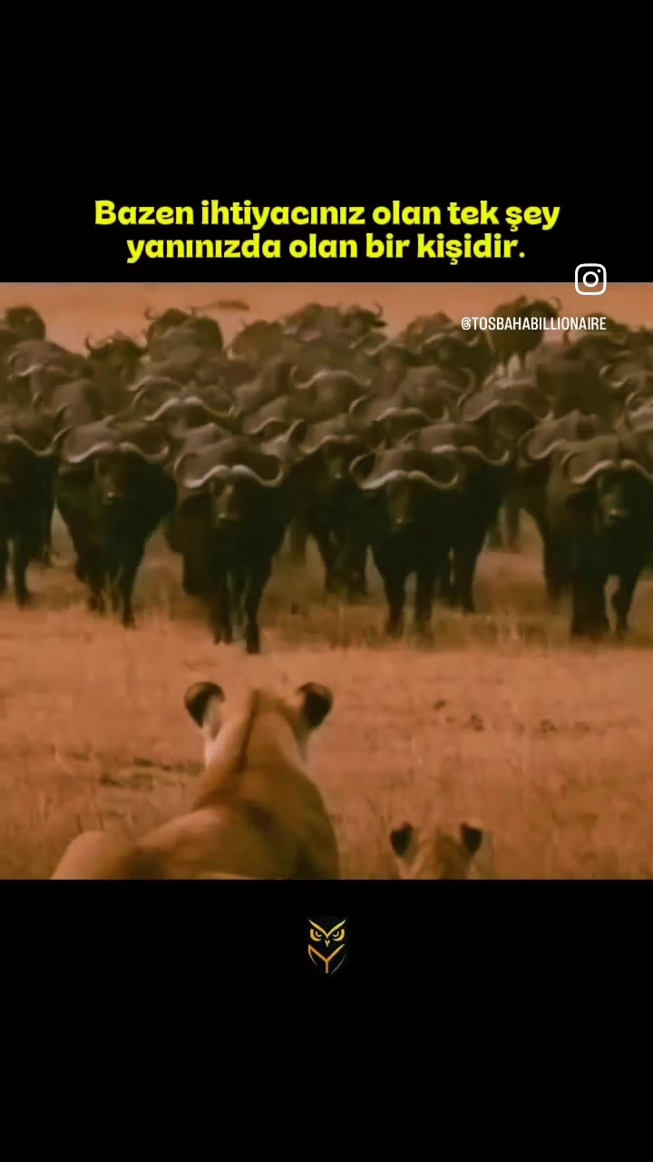 @Nazlı nazlım