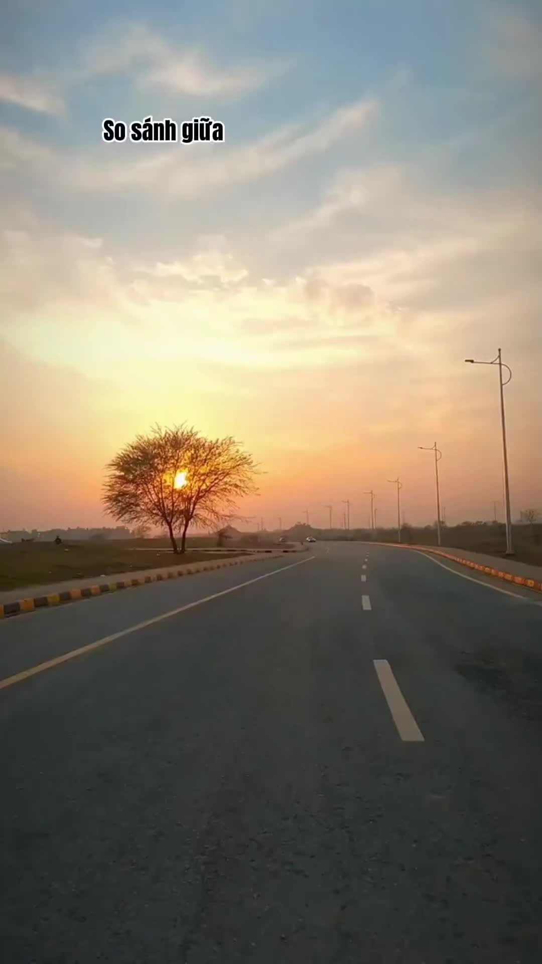 @Thành nam