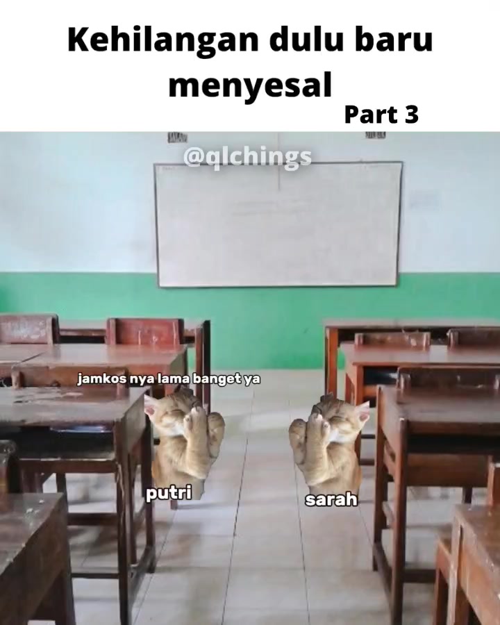 @qlchings