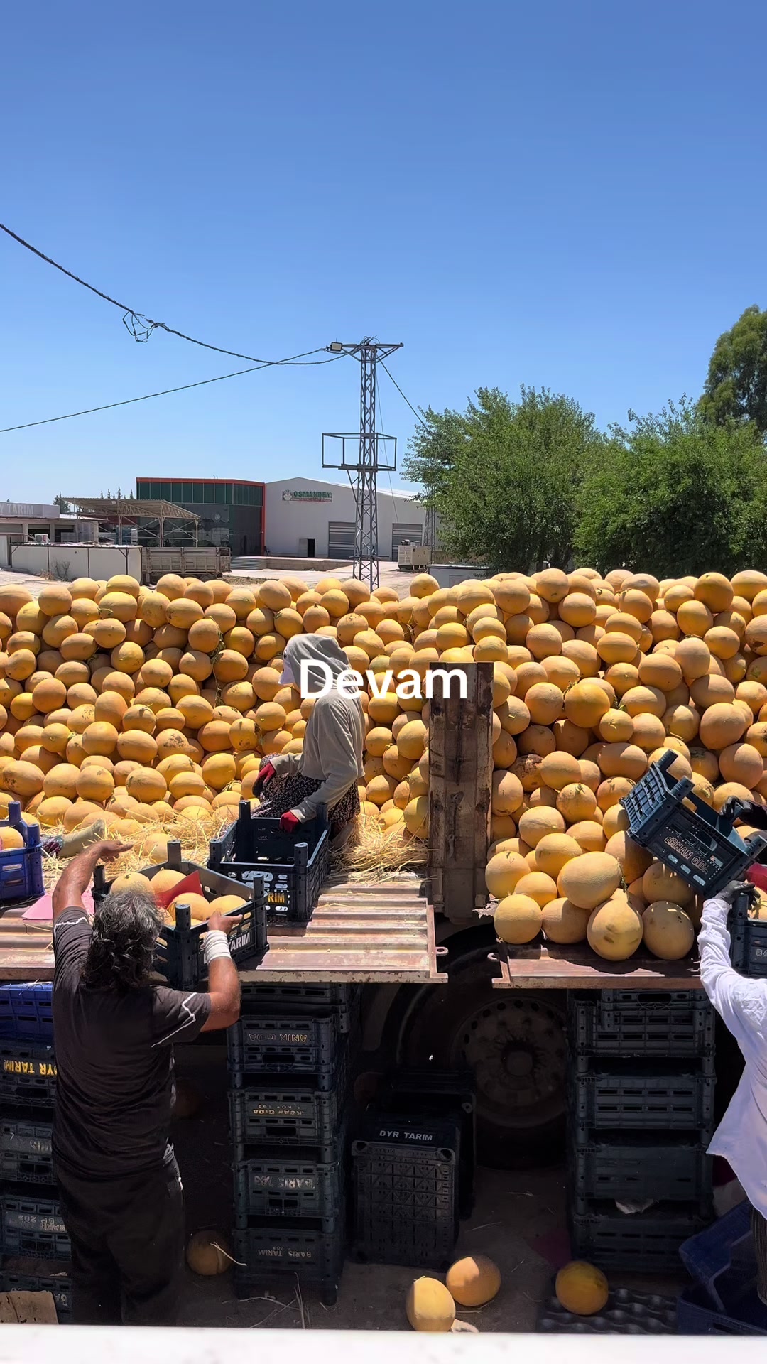 @YUSUF CİKE &Ccedil;AVUŞ