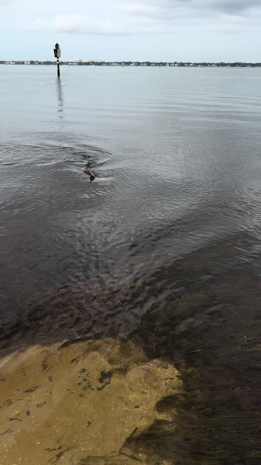@Gotitfishing