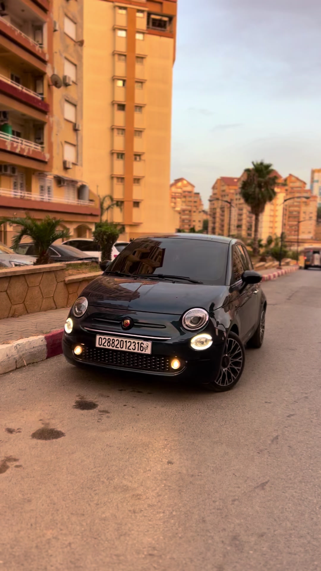 @nabil.diamond 16