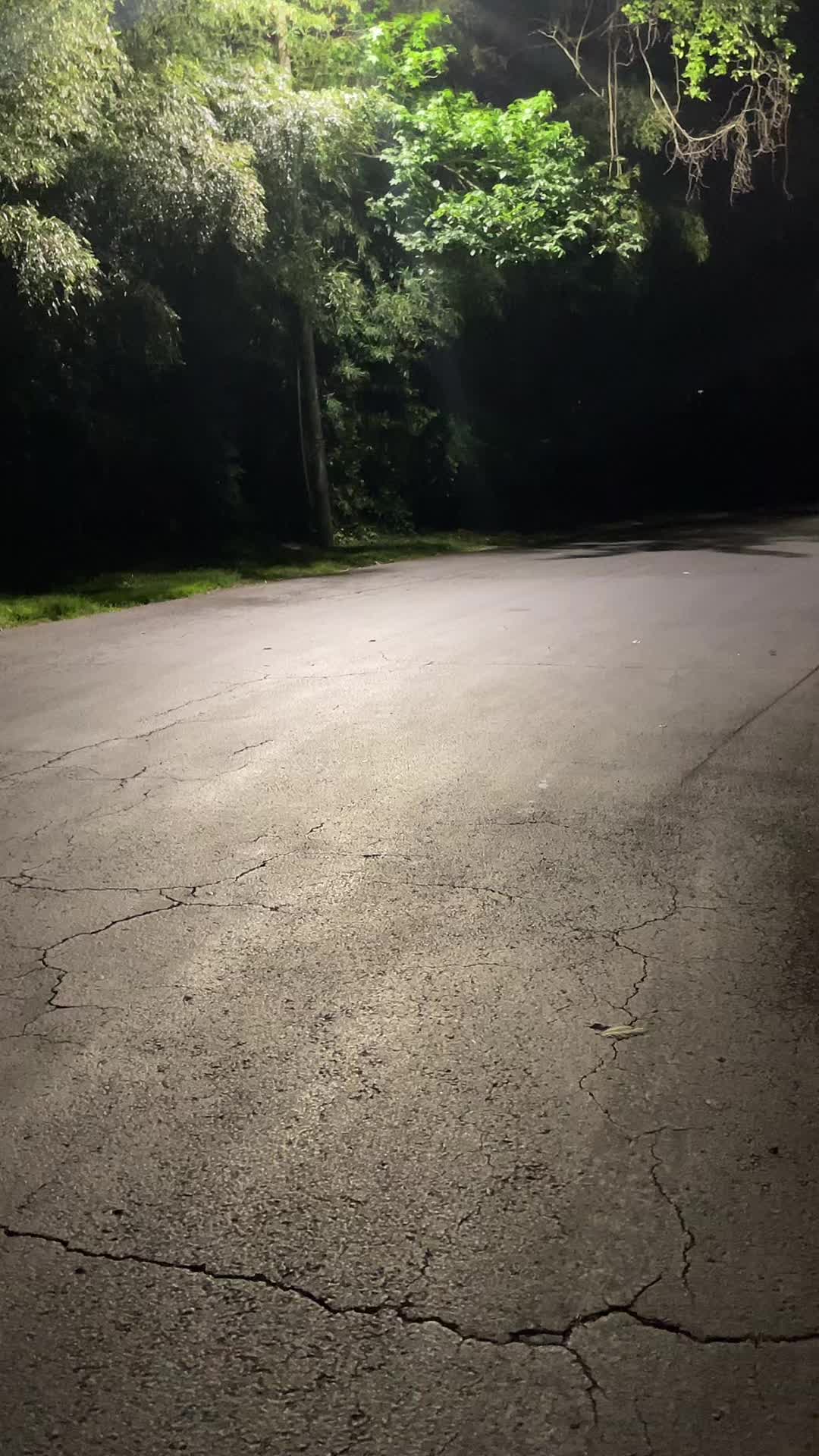@miss.sparkles
