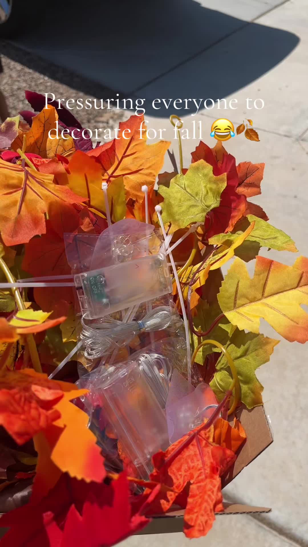 @Jesssssiebrown