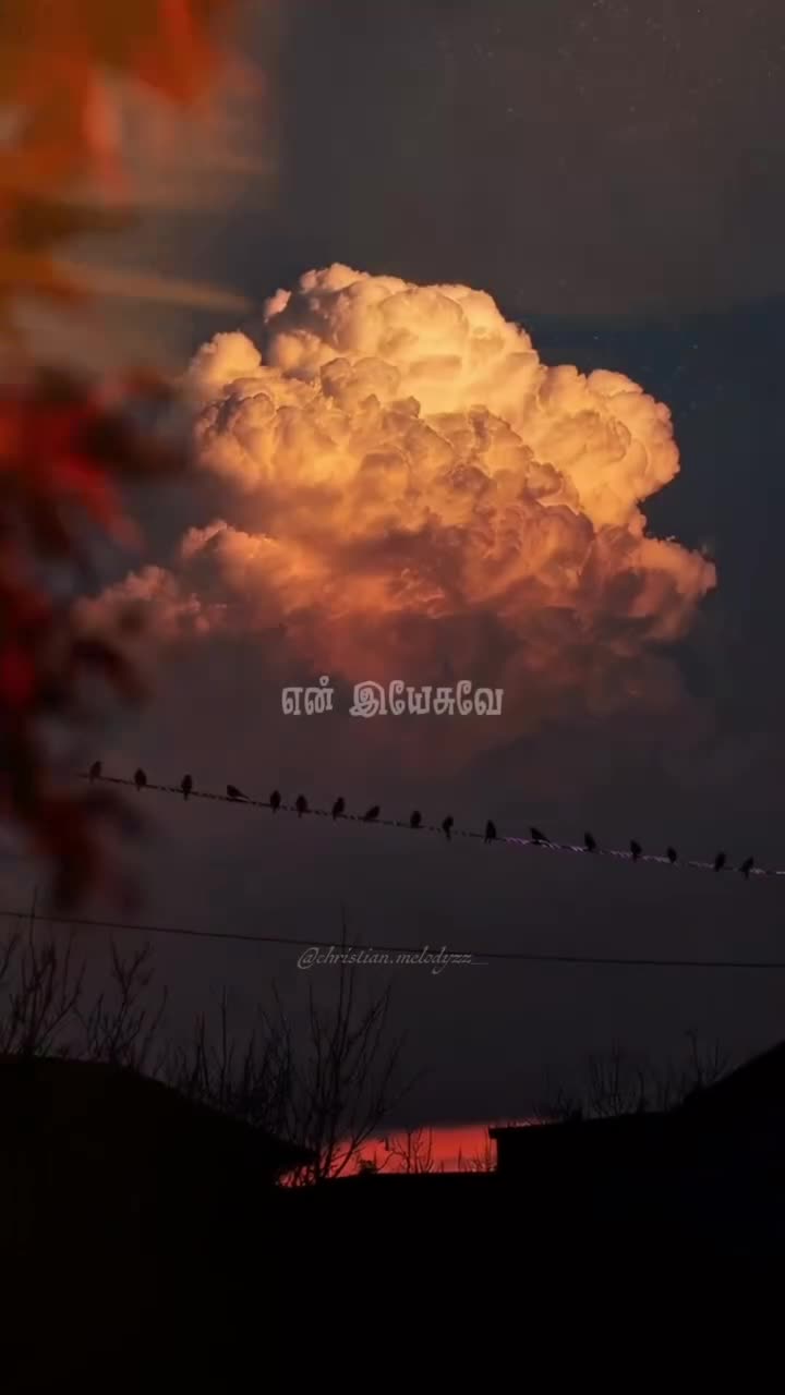 @😍🫶S.M.சாரா😍🫶