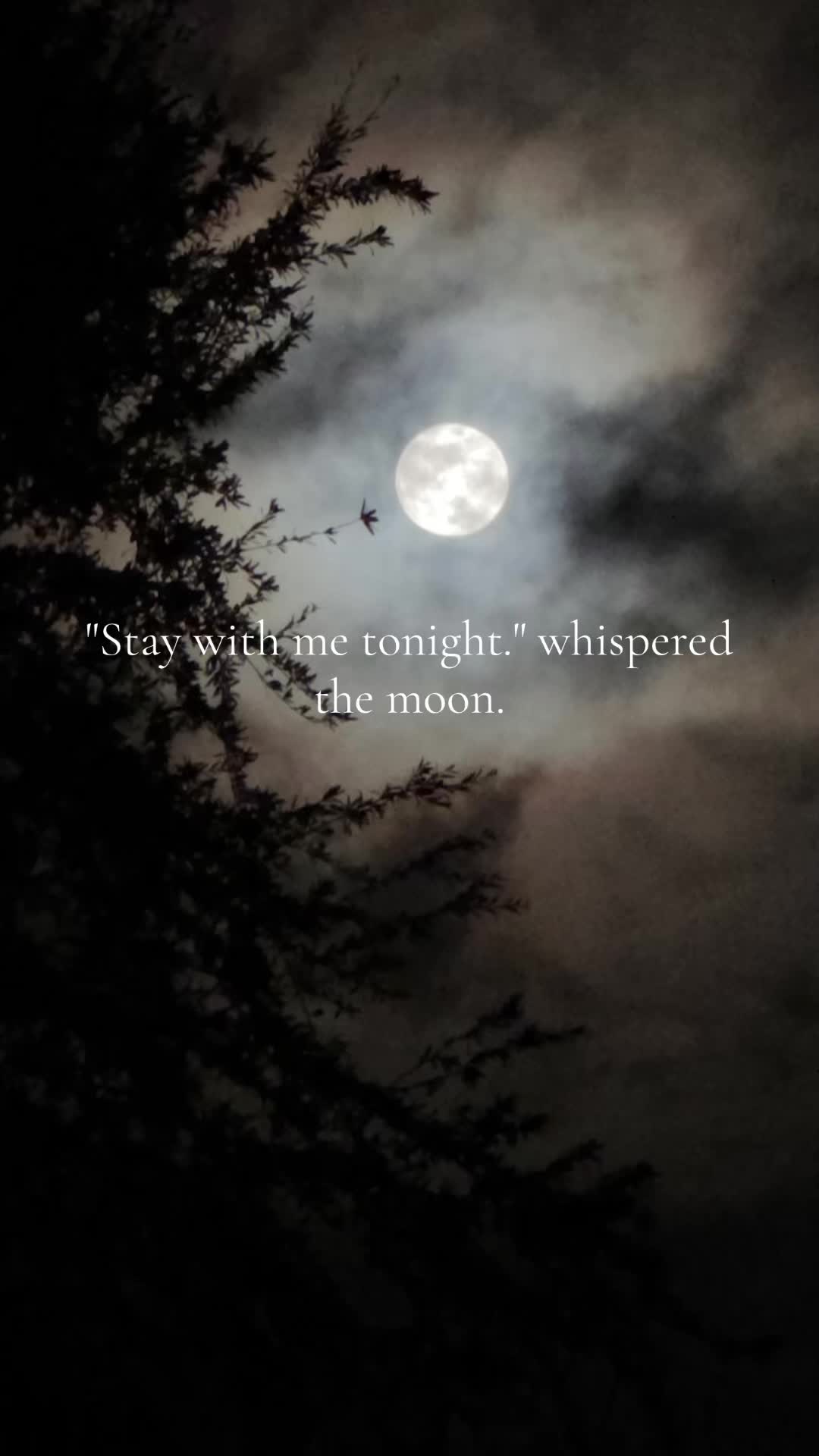 @Moon Mistress Tarot 🌙✨