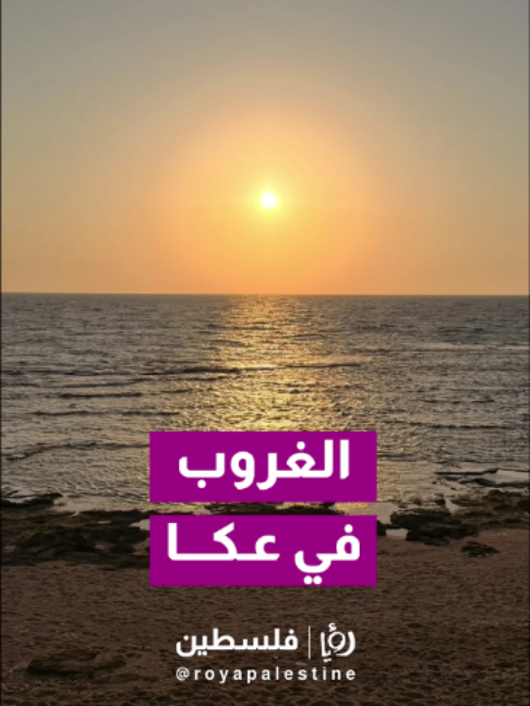 @Royapalestine رؤيا فلسطين