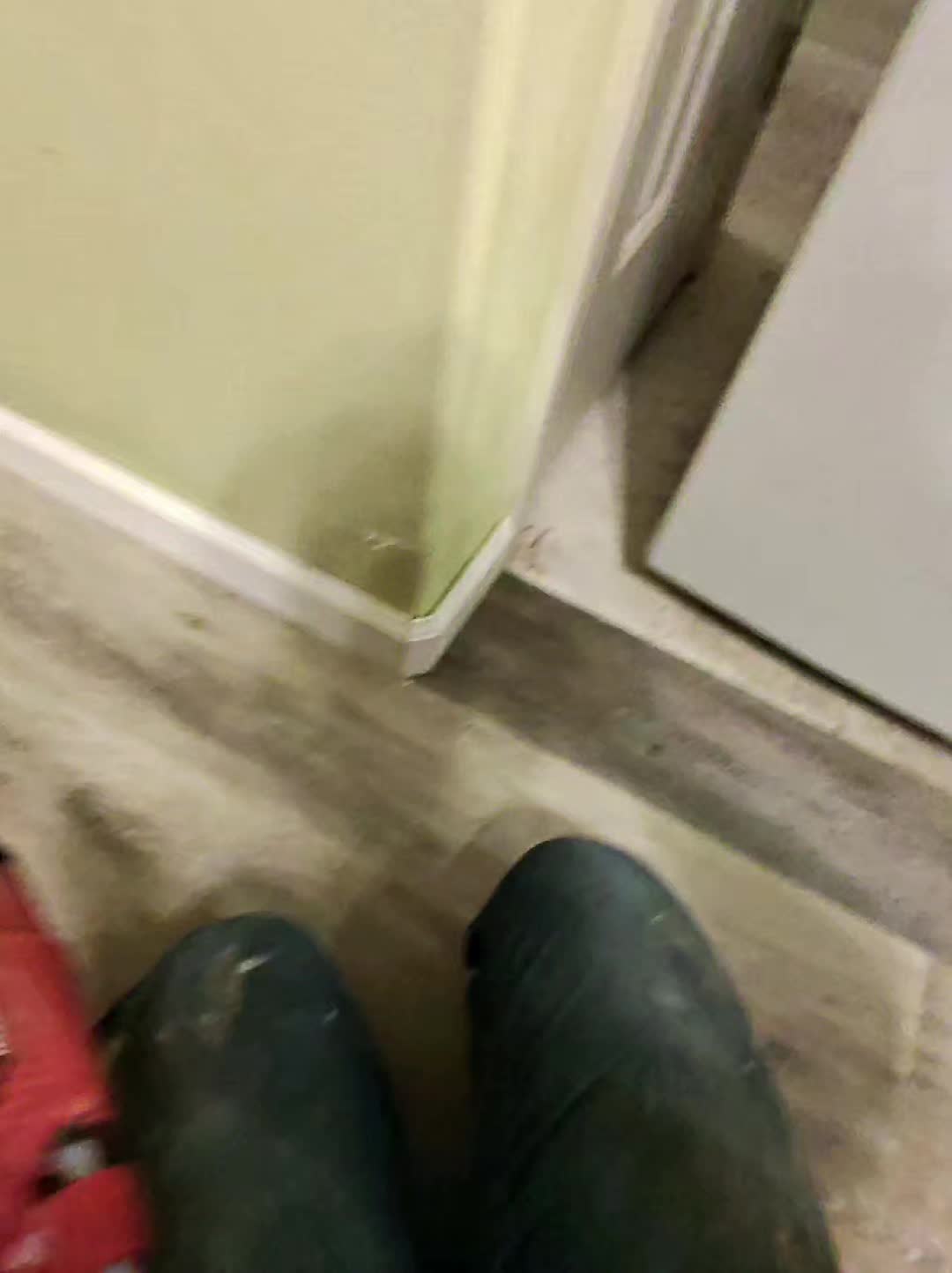 @MFGA.. Make Floor Great Again