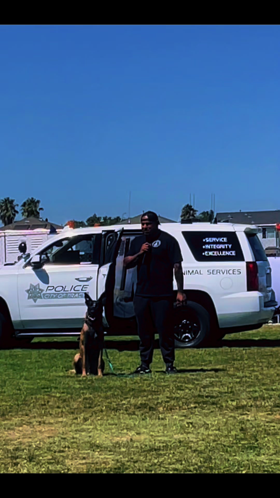 @Tactical K9s Dog Training
