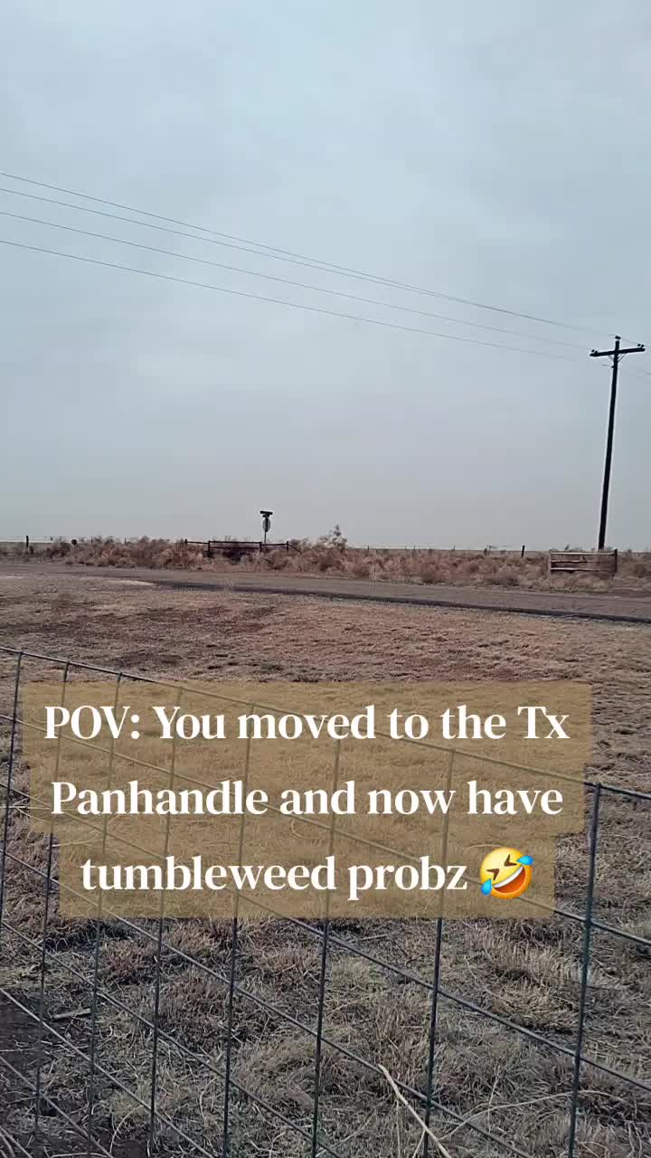 @TinyHoovesRescueAndPettingZoo