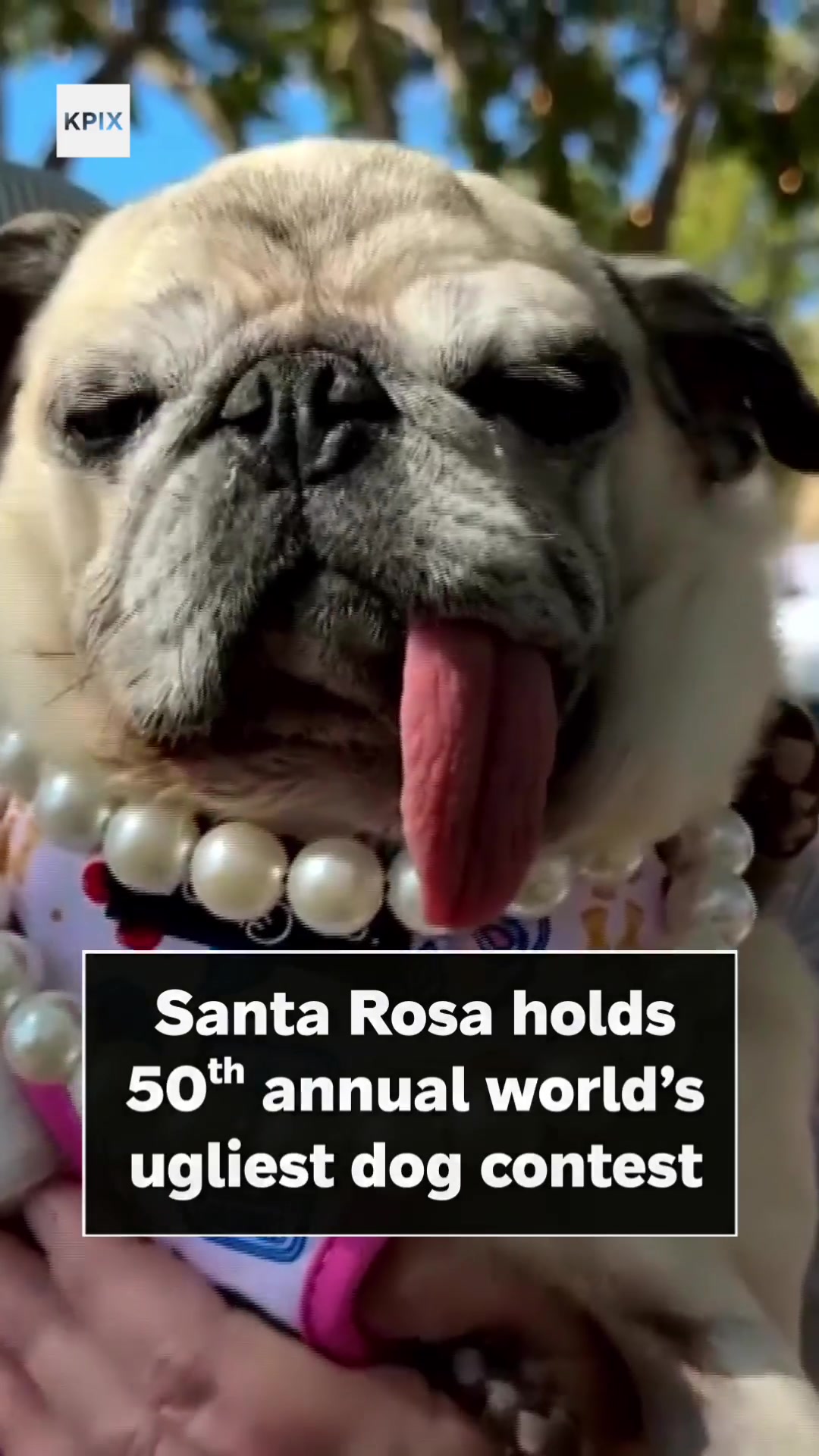 @KPIXTV