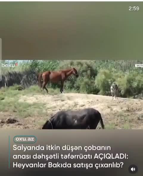 @@tarix__yazanlar_2020🇦🇿🇹🇷