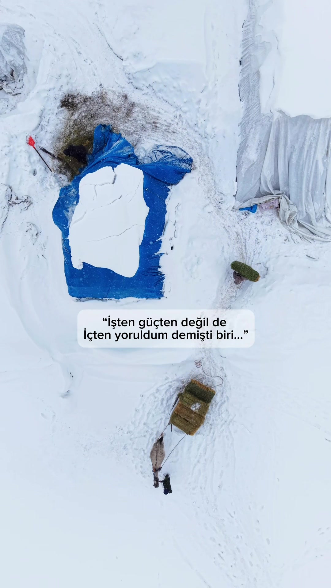 @Elif Meva Demir