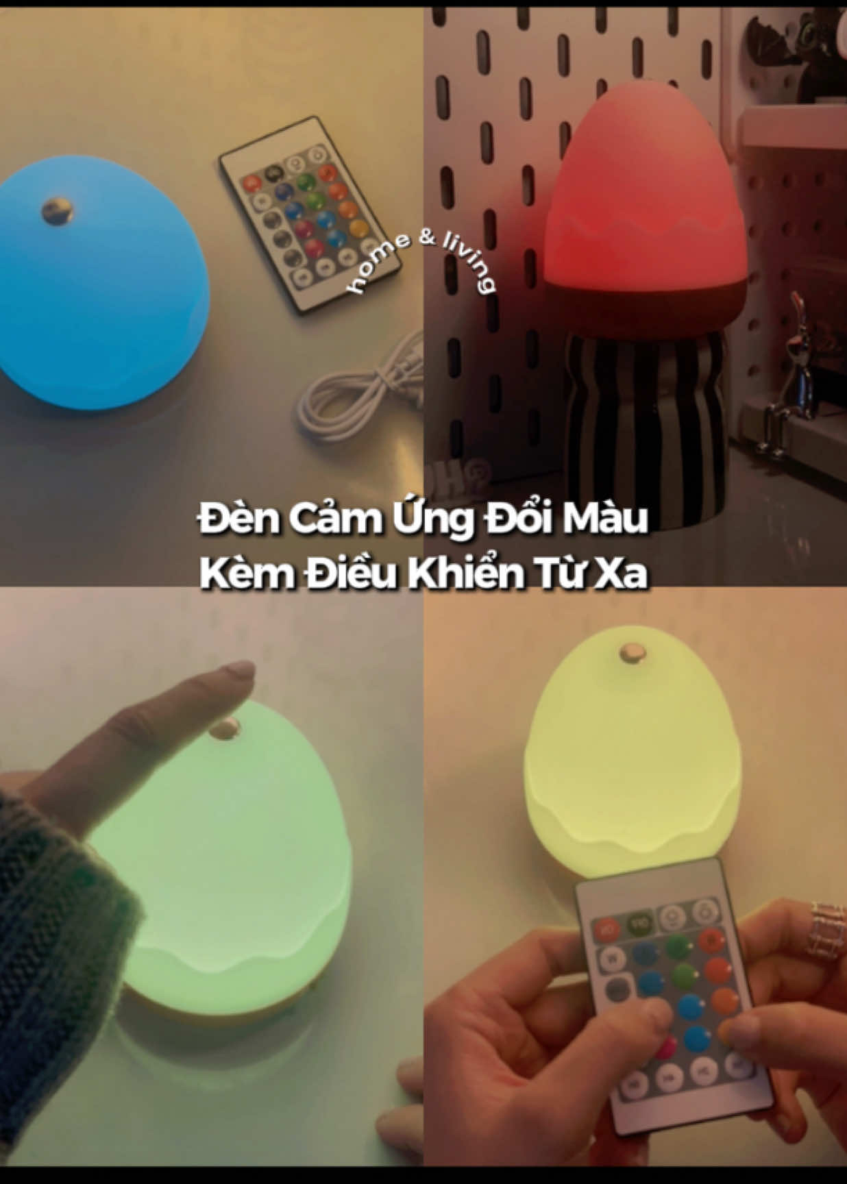 @٠࣪⭑ Hui Yin Chuột Bạch ⦮ ⦯