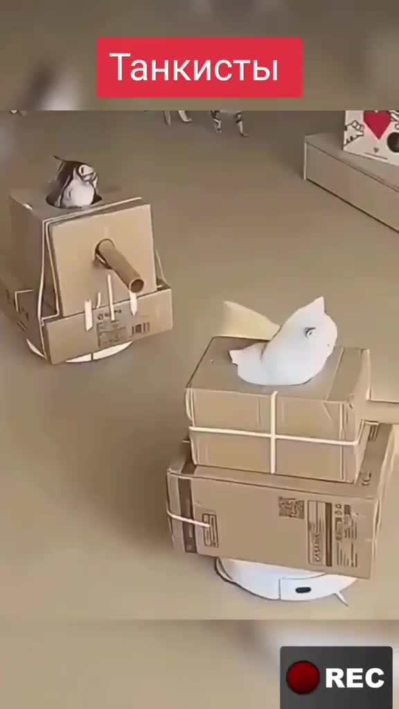 @Лариса