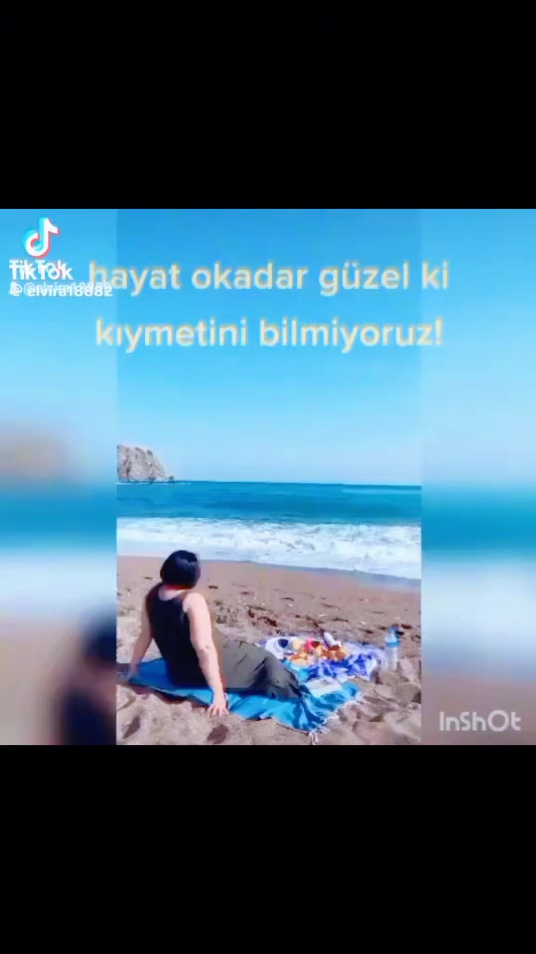 @Elvira837 e
