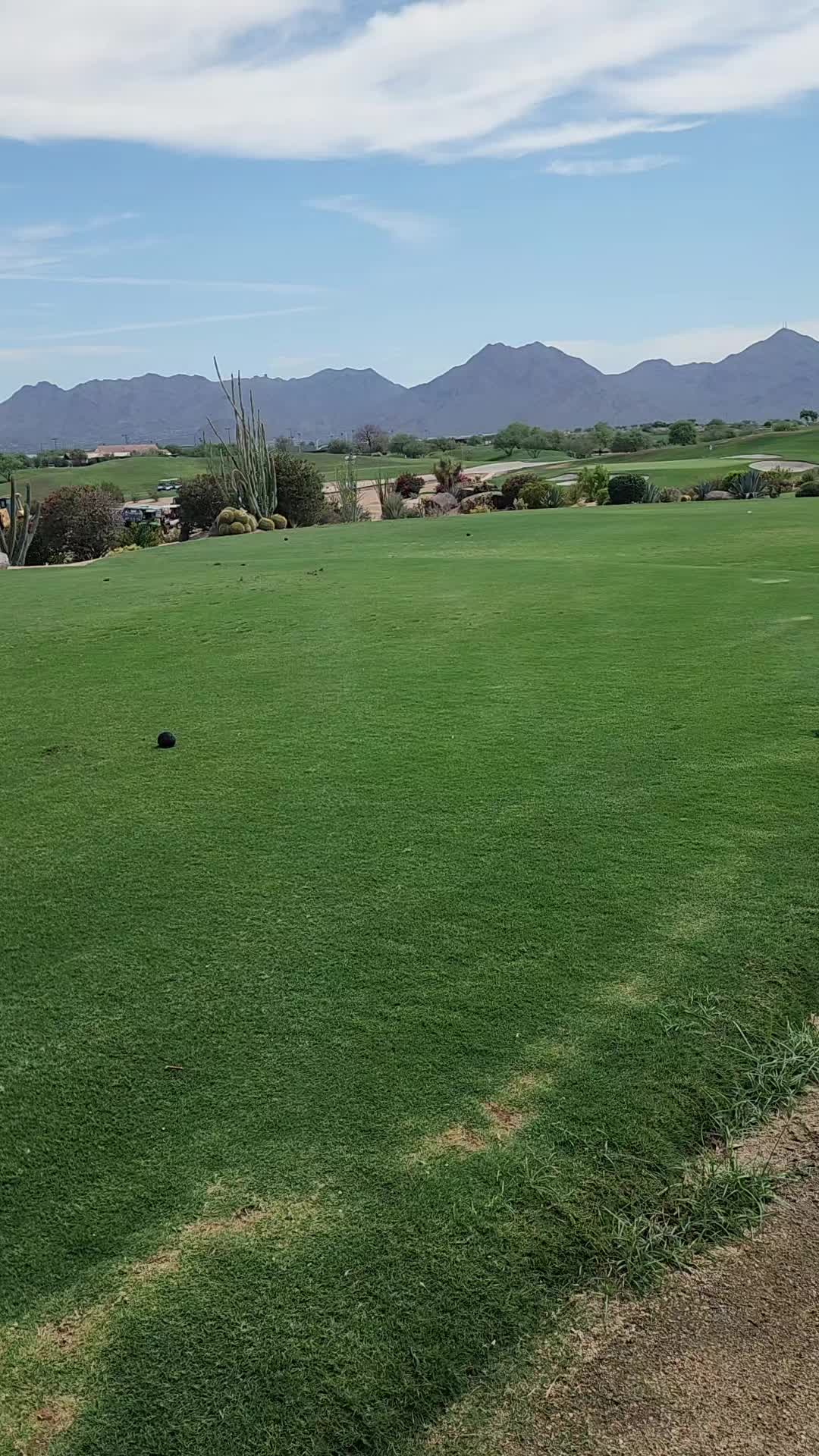 @SGCTOUR _ GOLF