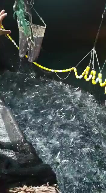 @🛳️hàmìdø⚓⚡Ræysë🐬🏴☠️