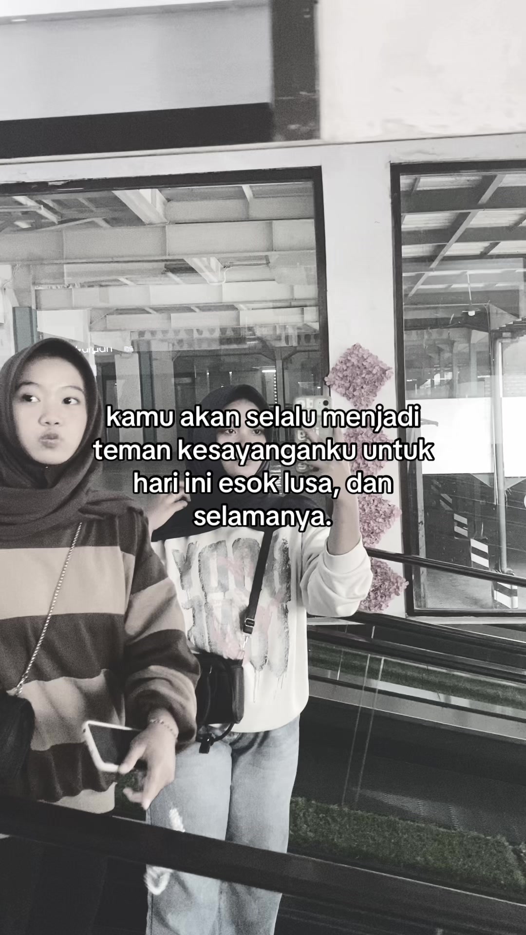 @🕊️