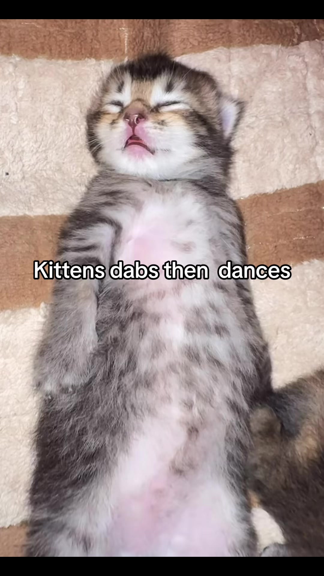 @11