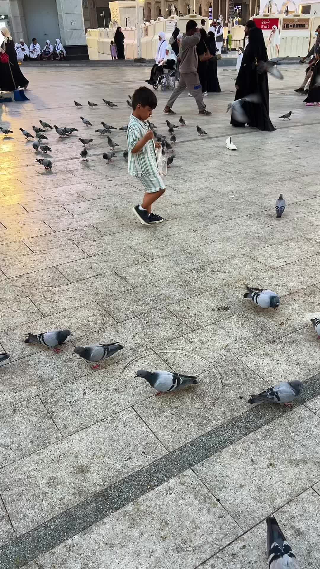 @Haramain sharifain
