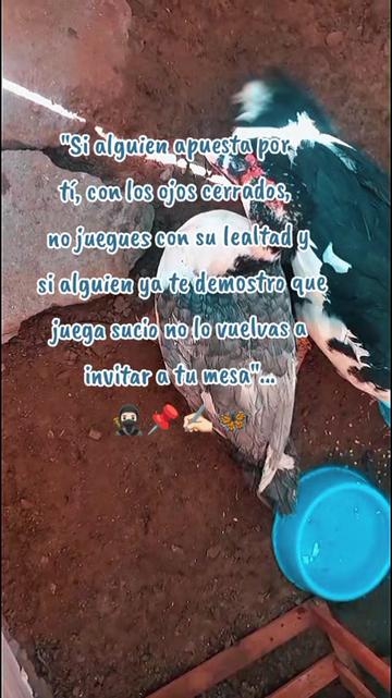@🕊️🖤🔥🥷🏻🏳️🌈ESCⓊRPIⓊ👣🦋