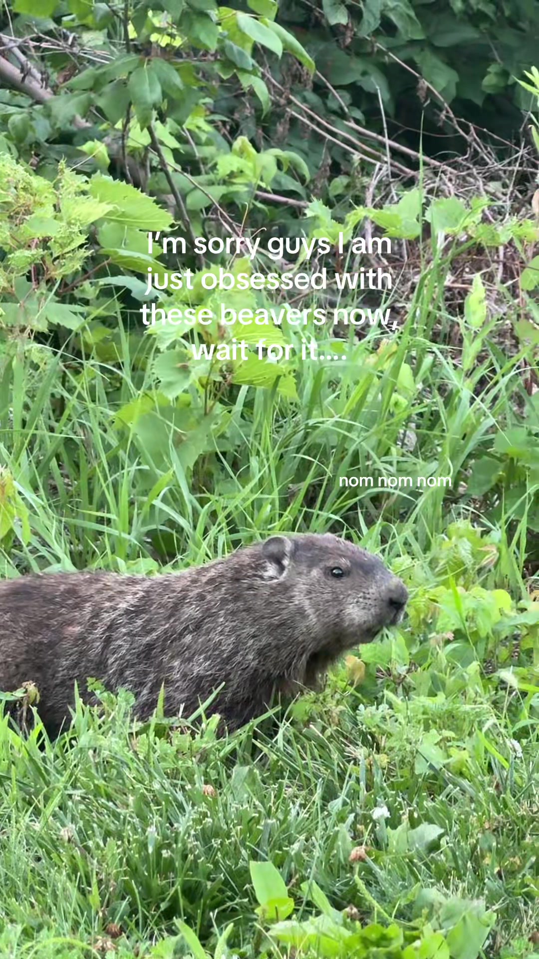 @Nichole Brooke✰