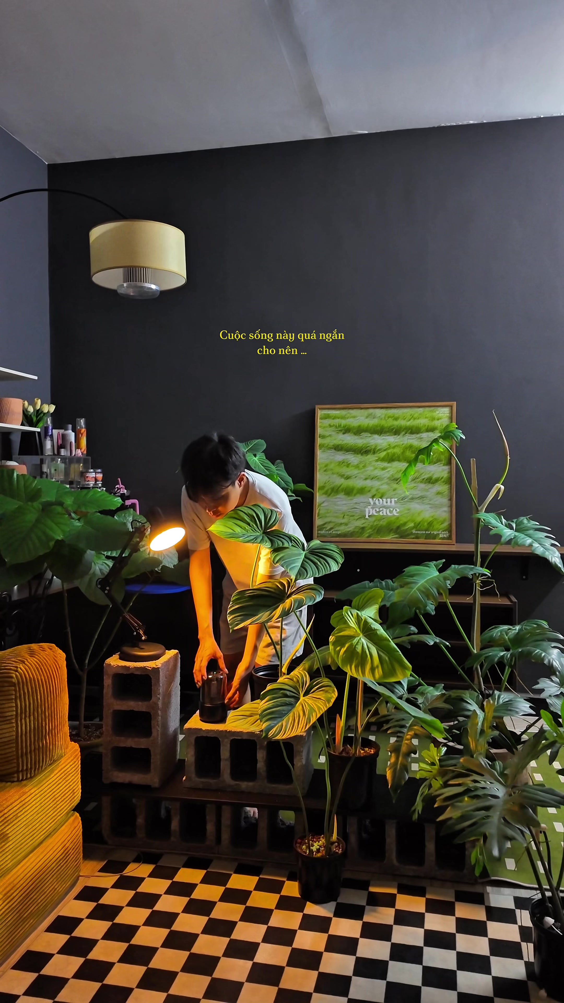 @Bảo t&agrave;ng L&aacute;