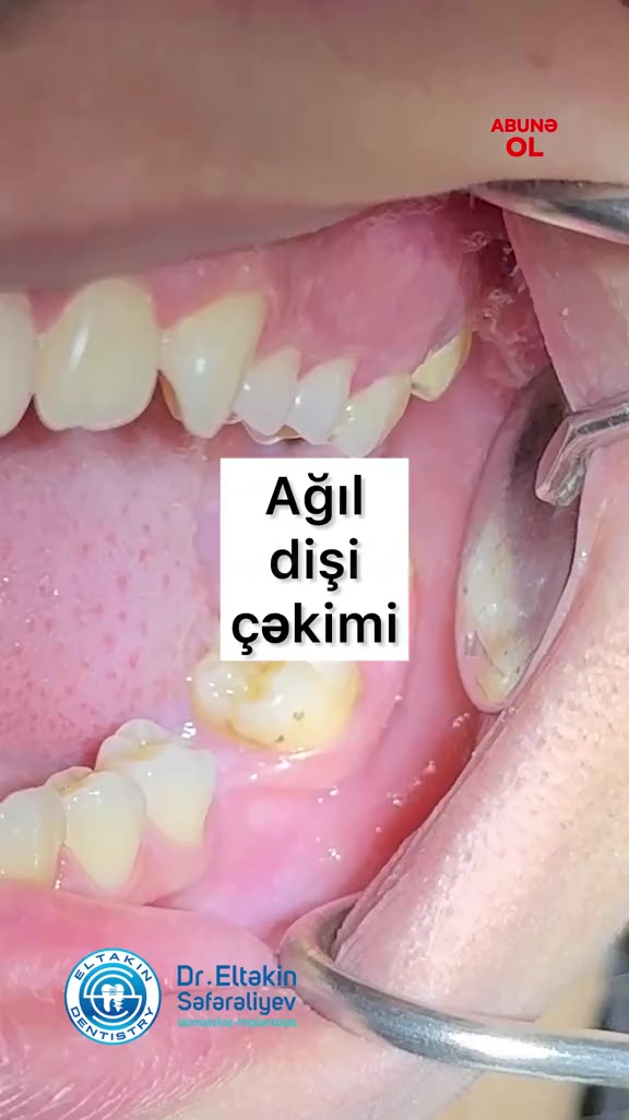 @eltakindentistry