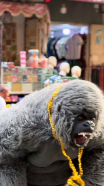 @بودا بتاع غوريلا🦍🔥