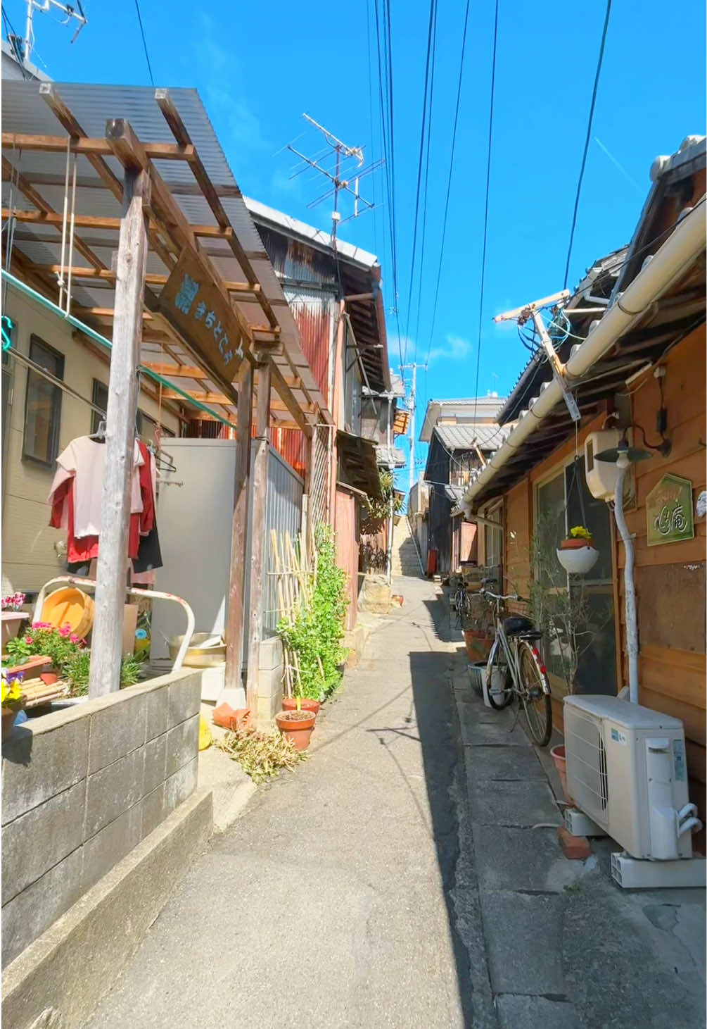 @とらのぽいち