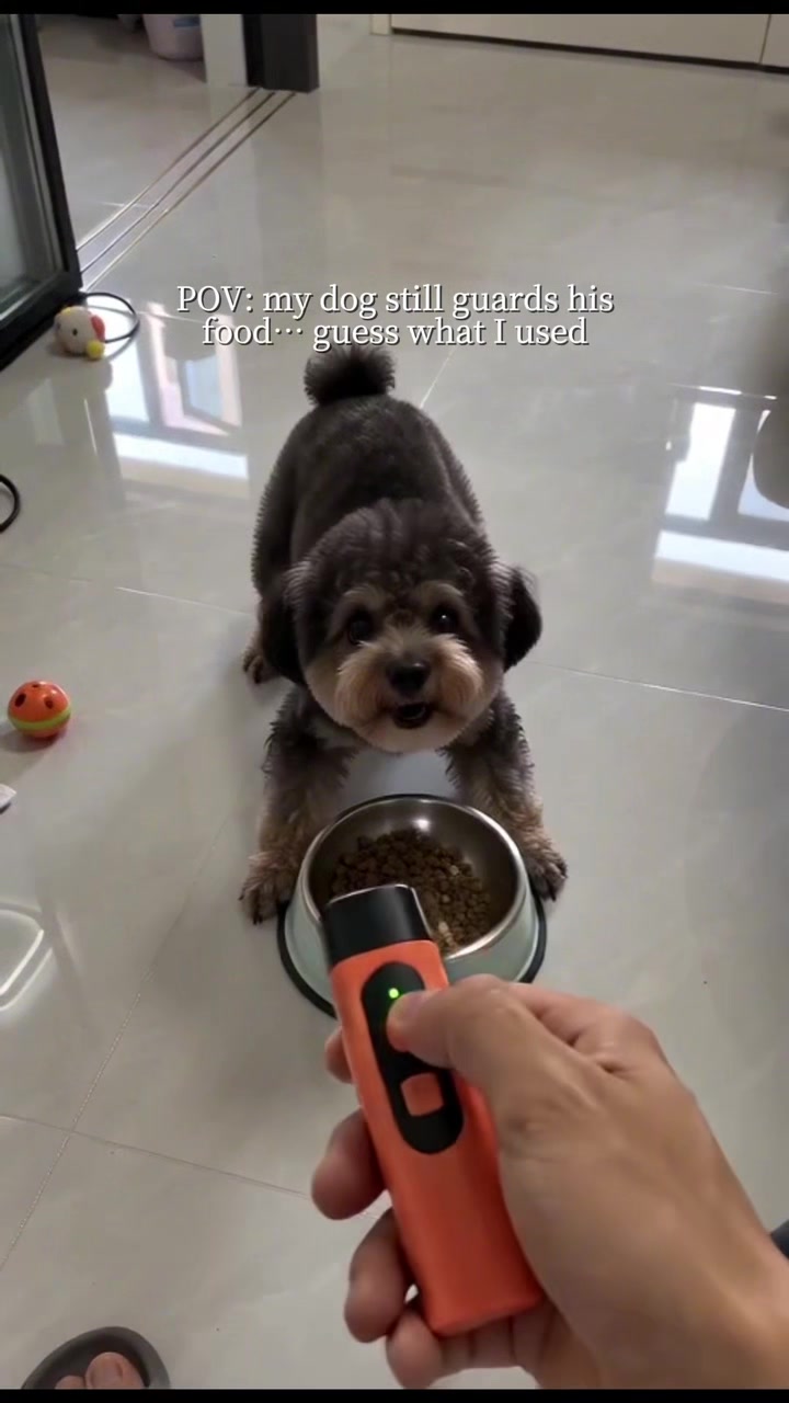 @pawpawchum