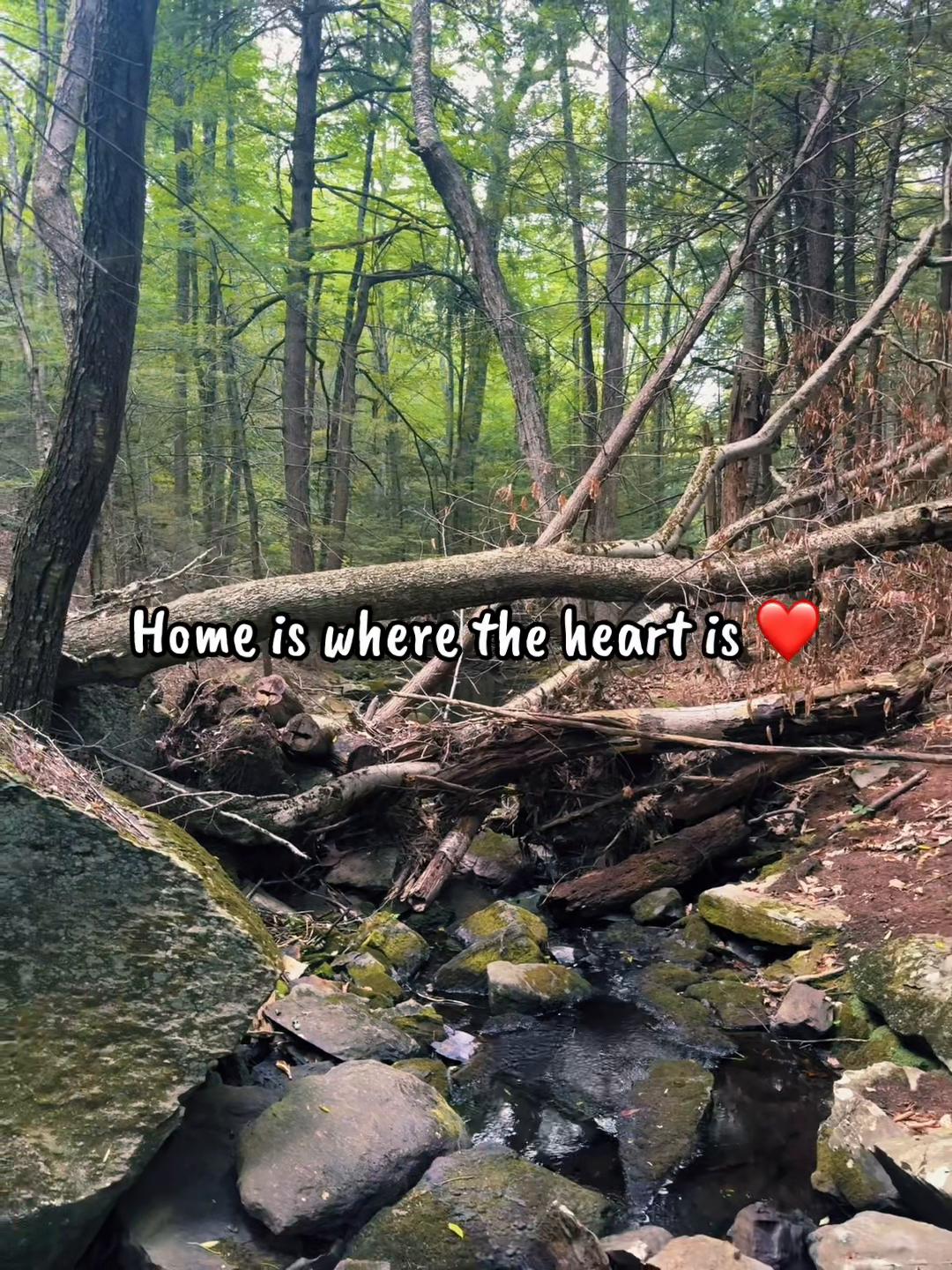 @ᚺᛖᚨᚦᛖᚾ(Heathen)
