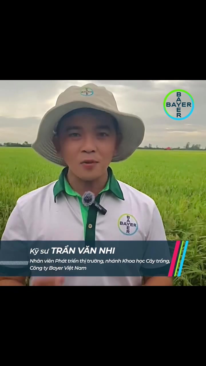 @VTNN Trung Hiếu 1