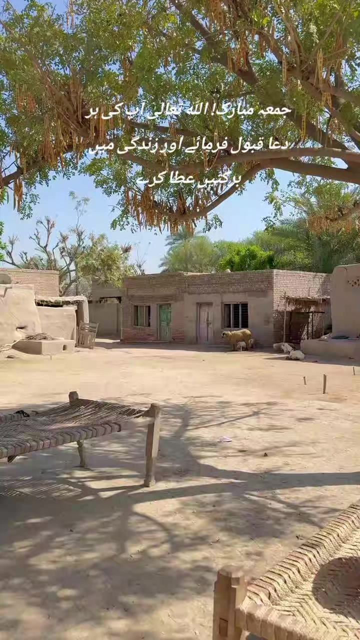 @Ch Jamshed