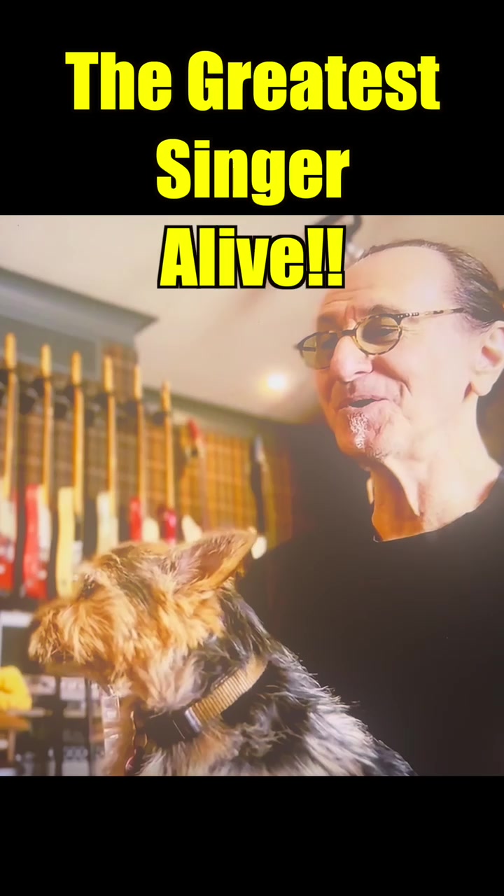 @Mike Palleschi Author TVwriter