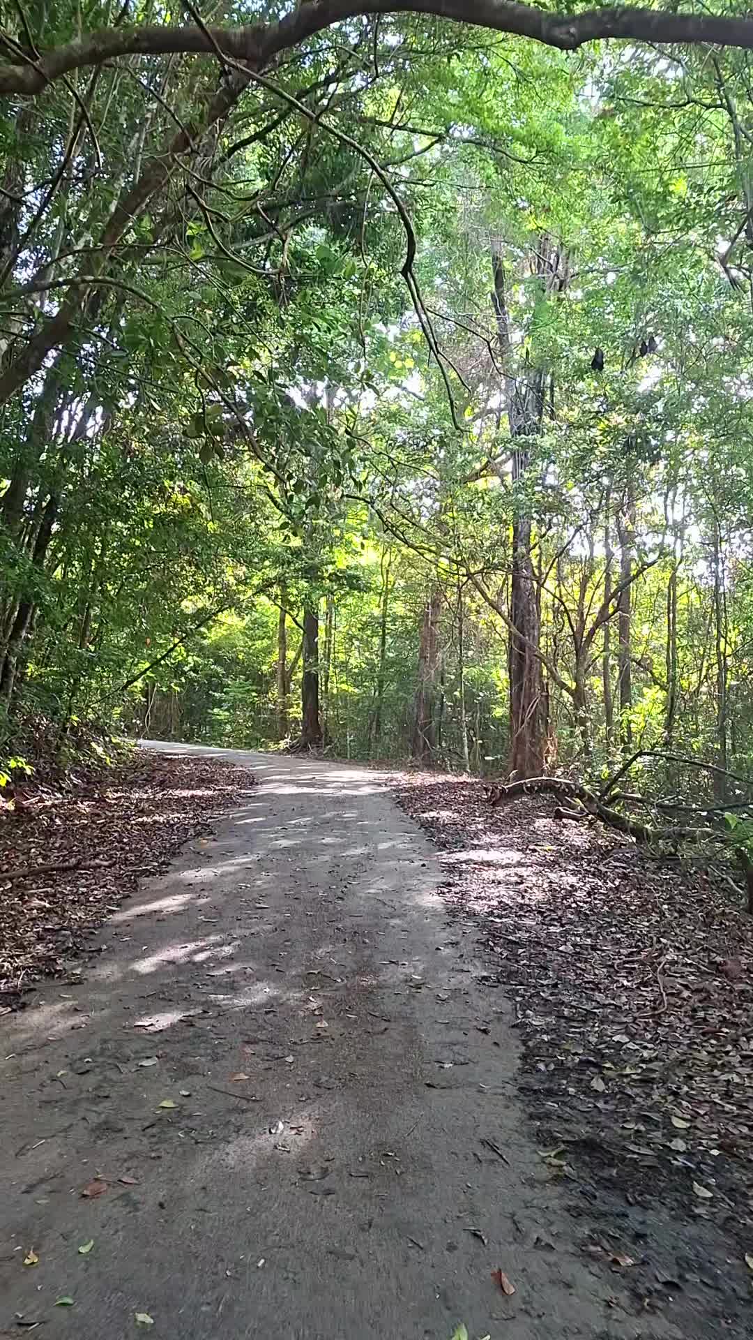 @HikeLife Adventures