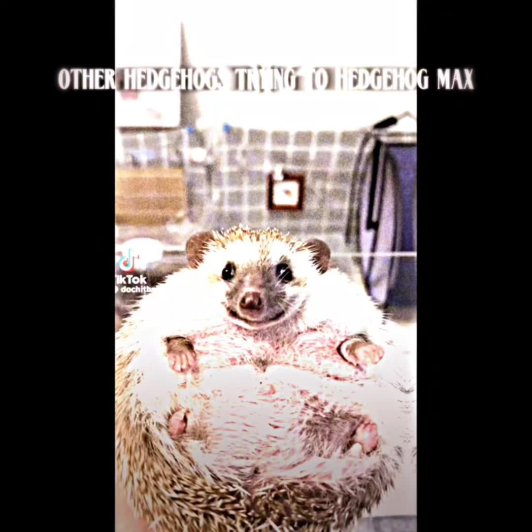 @connieboy