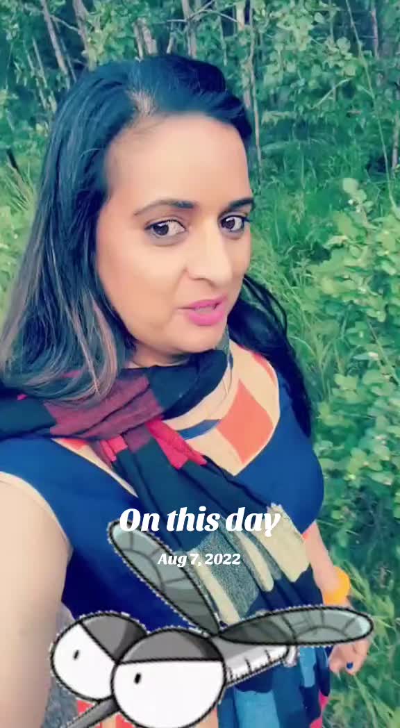 @meegeenik