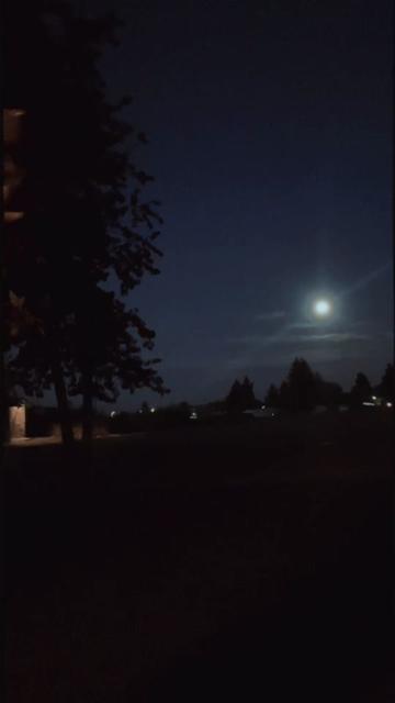 @MoonshiftMonsters