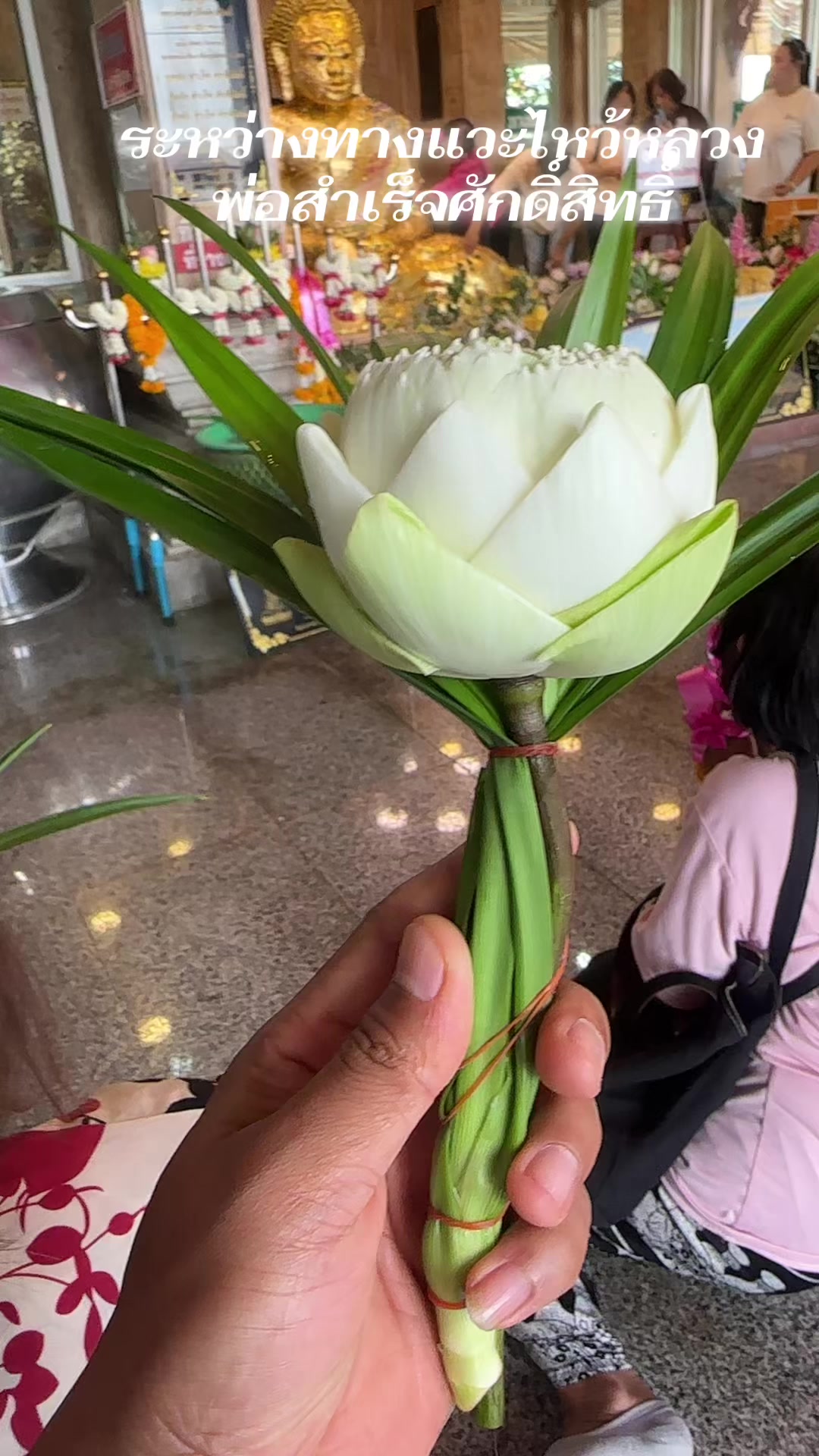 @ขายถูกดี2567
